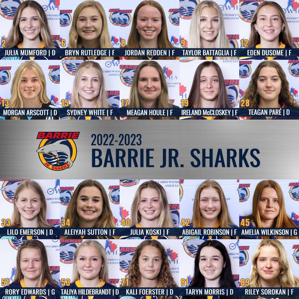 Barrie Jr. Sharks Website by RAMP InterActive